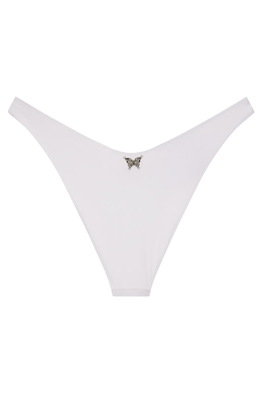 Orchids of Biscayne Bottom