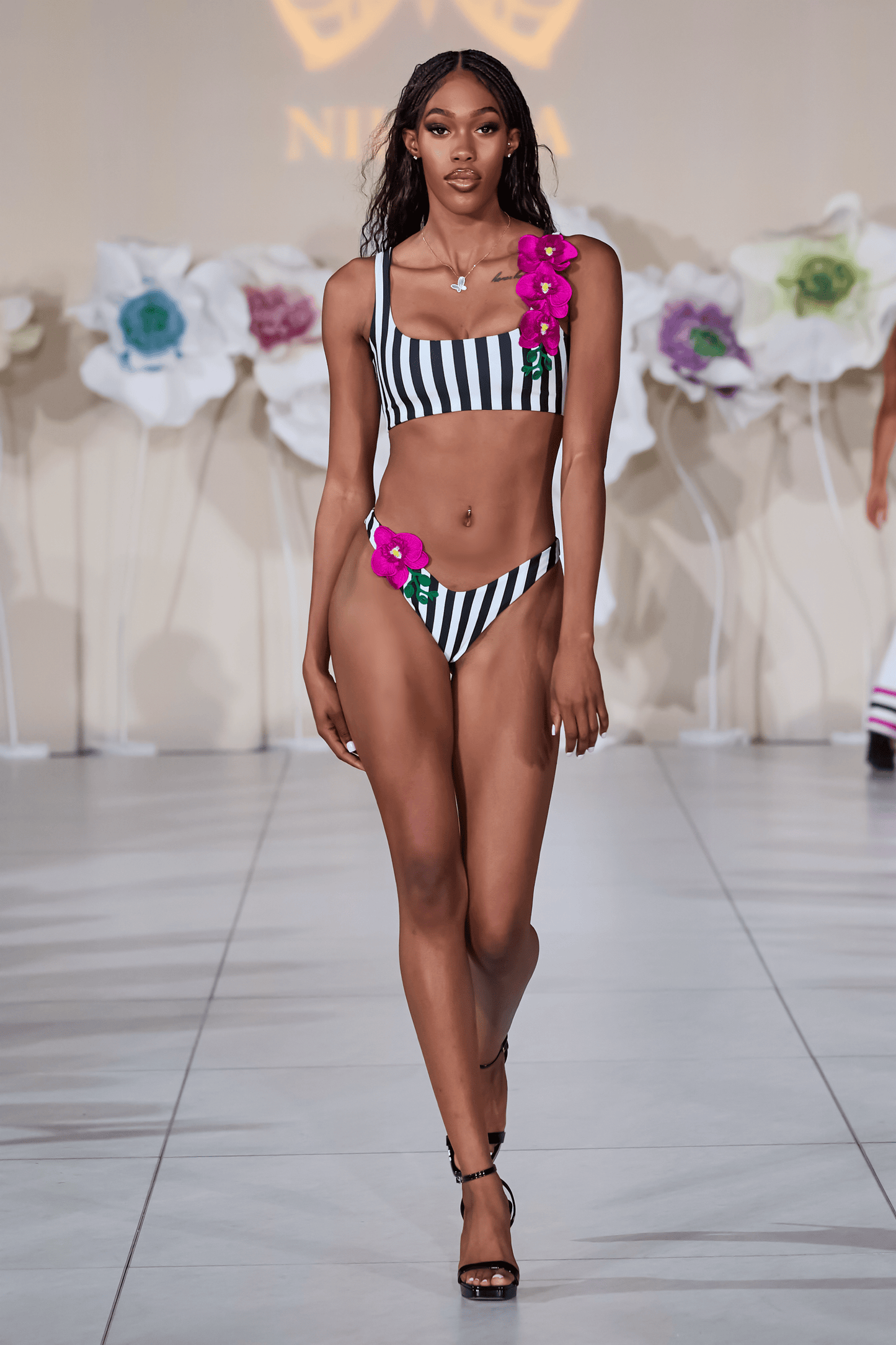 Orchids of Biscayne Top