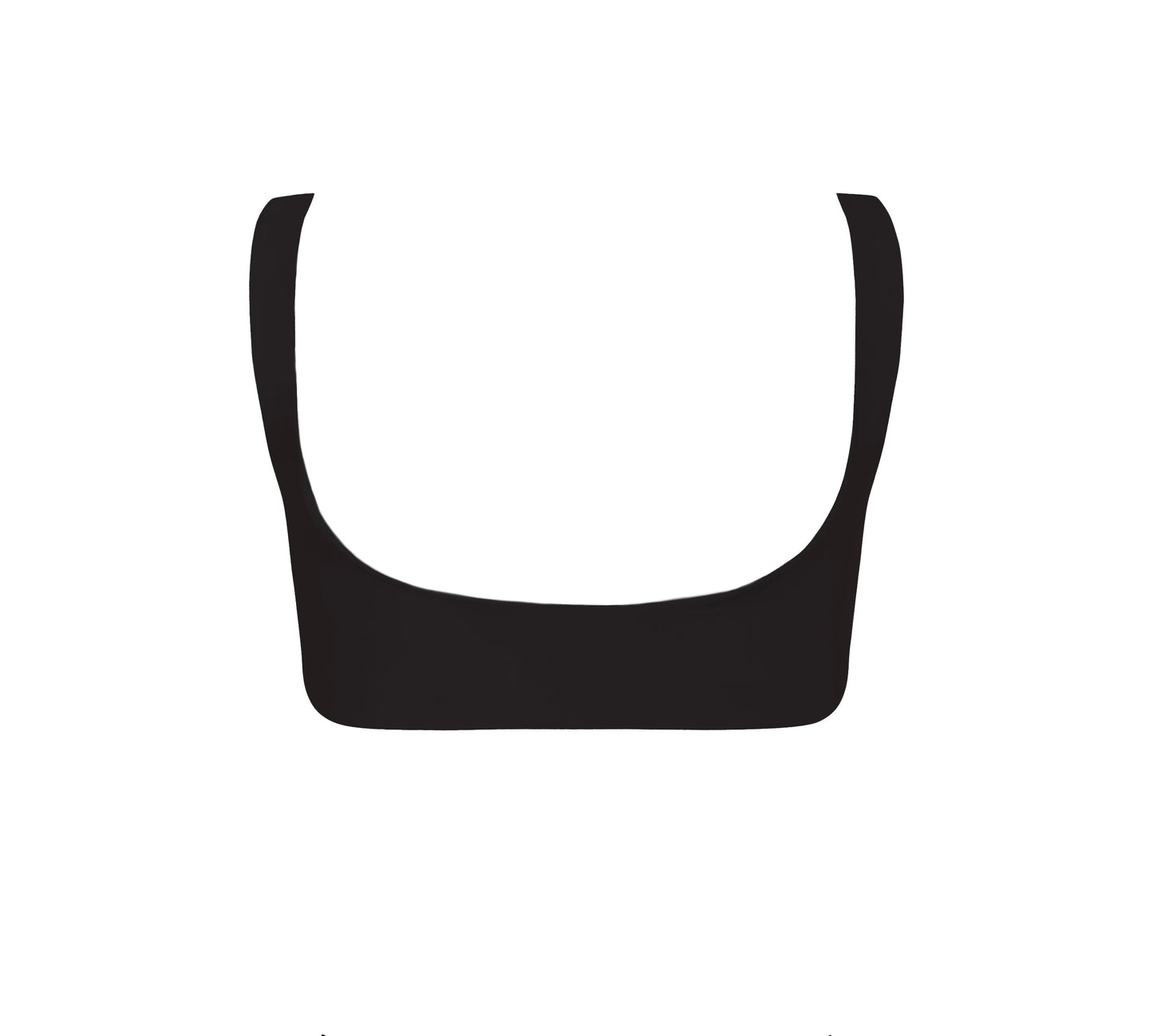 Orchids of Biscayne Top